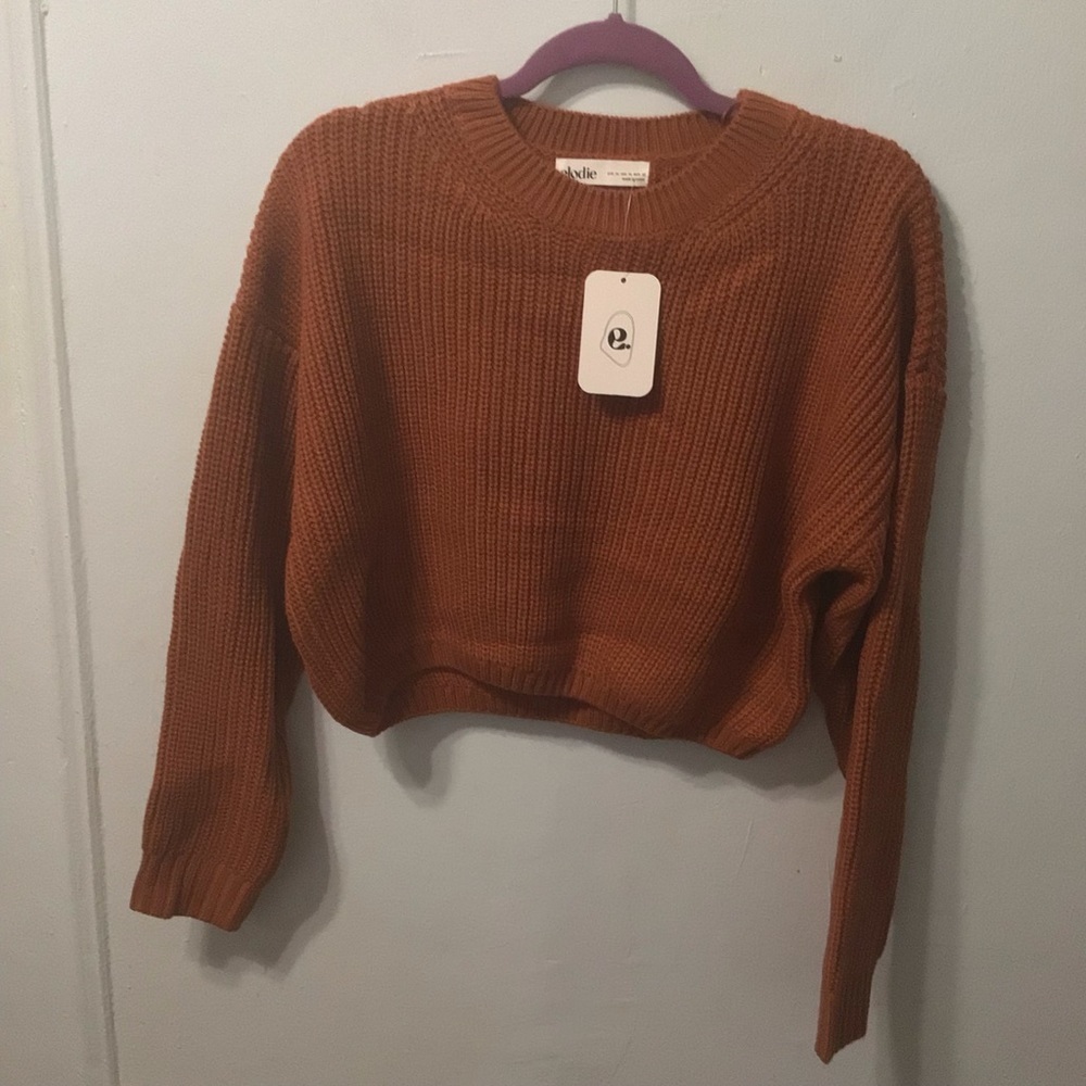 ELODIE Crewneck Cropped Sweater
XL